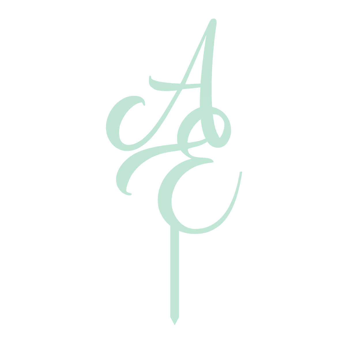 Cake Topper con grafica personalizzata